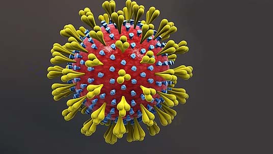 Coronavirus