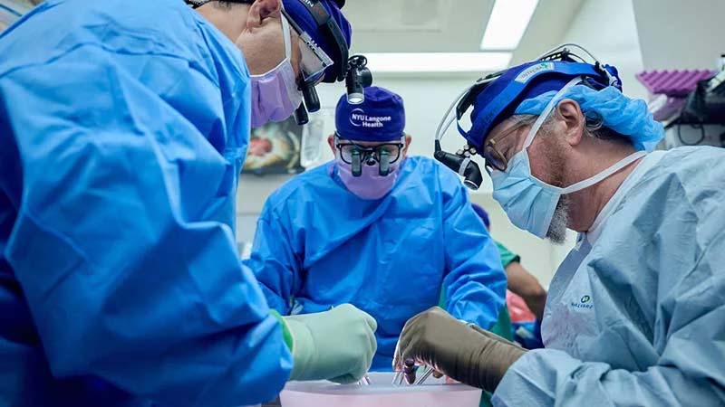 Grisenyre Transplantation Grisenyre Transplantation