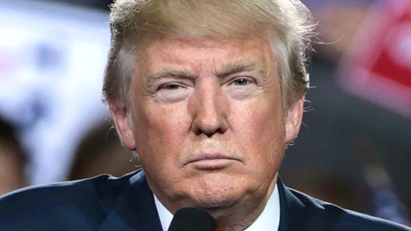 Donald Trump 29496131773 Donald Trump 29496131773