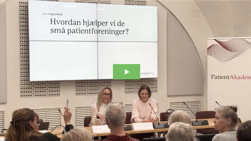 Høring på Christiansborg